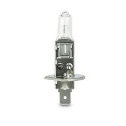 12V 55W H1 BULB
