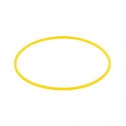 ORING SEAL