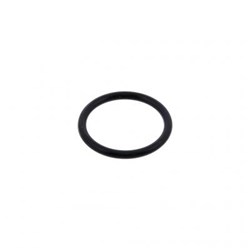 SEAL RING INJ TUBE SS