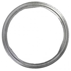 GASKET AFM DEV