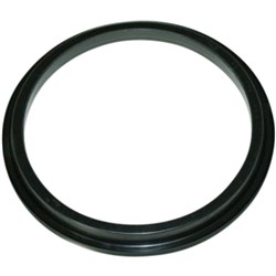TRUNNION SEAL