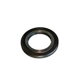 GUIDE OIL SEAL