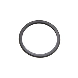 THERMOSTAT GASKET