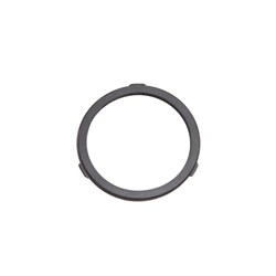 THERMOSTAT GASKET